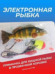 Электронная приманка на рыбу с мотором
